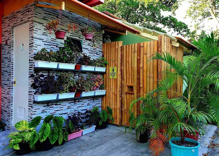 Mjs Garden Powered By Cocotel Moalboal